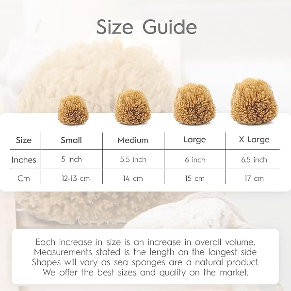 0ca8b3441dc44c49954a550b30c573eetplv-tulkllf4y5-origin-jpeg.jpeg Get your skin glowing with these eco-friendly exfoliating sea sponges! Perfect for bath or shower, these scrubbers are a sustainable gift that will leave your skin feeling smooth and refreshed. #skincare #exfoliate #sustainability