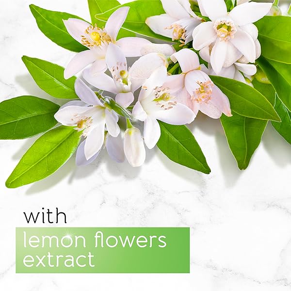 4fa074c364a64248a8c94dd72673febatplv-tulkllf4y5-origin-jpeg.jpeg Get that clean, fresh feeling with these natural soap bars made with lemon flower extracts! Nourish and refresh your skin with this gentle and soothing bathing cleanser. Pure transparency in every bar. Pack of 6 x 125g bars. #