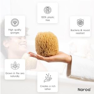 61895b8e29b8438f9633eb929da63b3etplv-tulkllf4y5-origin-jpeg.jpeg Get your skin glowing with these eco-friendly exfoliating sea sponges! Perfect for bath or shower, these scrubbers are a sustainable gift that will leave your skin feeling smooth and refreshed. #skincare #exfoliate #sustainability