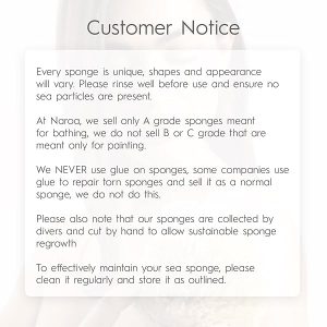 65f9bfd33c6243dba3b31d5b71f9a530tplv-tulkllf4y5-origin-jpeg.jpeg Get your skin glowing with these eco-friendly exfoliating sea sponges! Perfect for bath or shower, these scrubbers are a sustainable gift that will leave your skin feeling smooth and refreshed. #skincare #exfoliate #sustainability