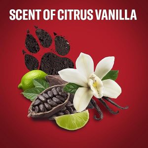 Stay fresh all night long with this powerful deodorant stick for men! 48 hours of freshness, no aluminum salts, and fights against white marks and yellow stains. Stock up with this pack of 6 now!